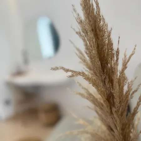 Eleni's Antiparos Town