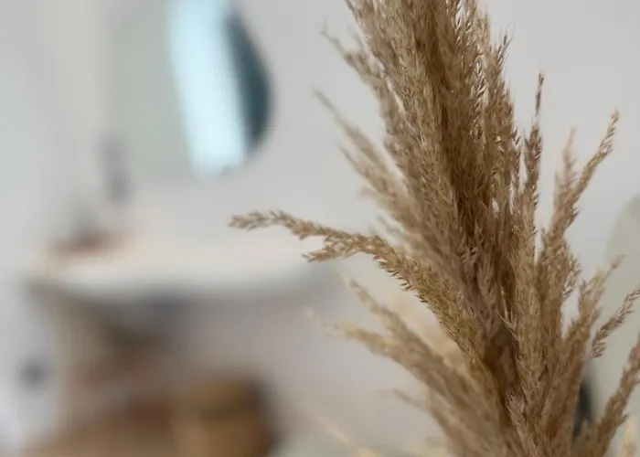 Eleni'S Rooms Antiparos